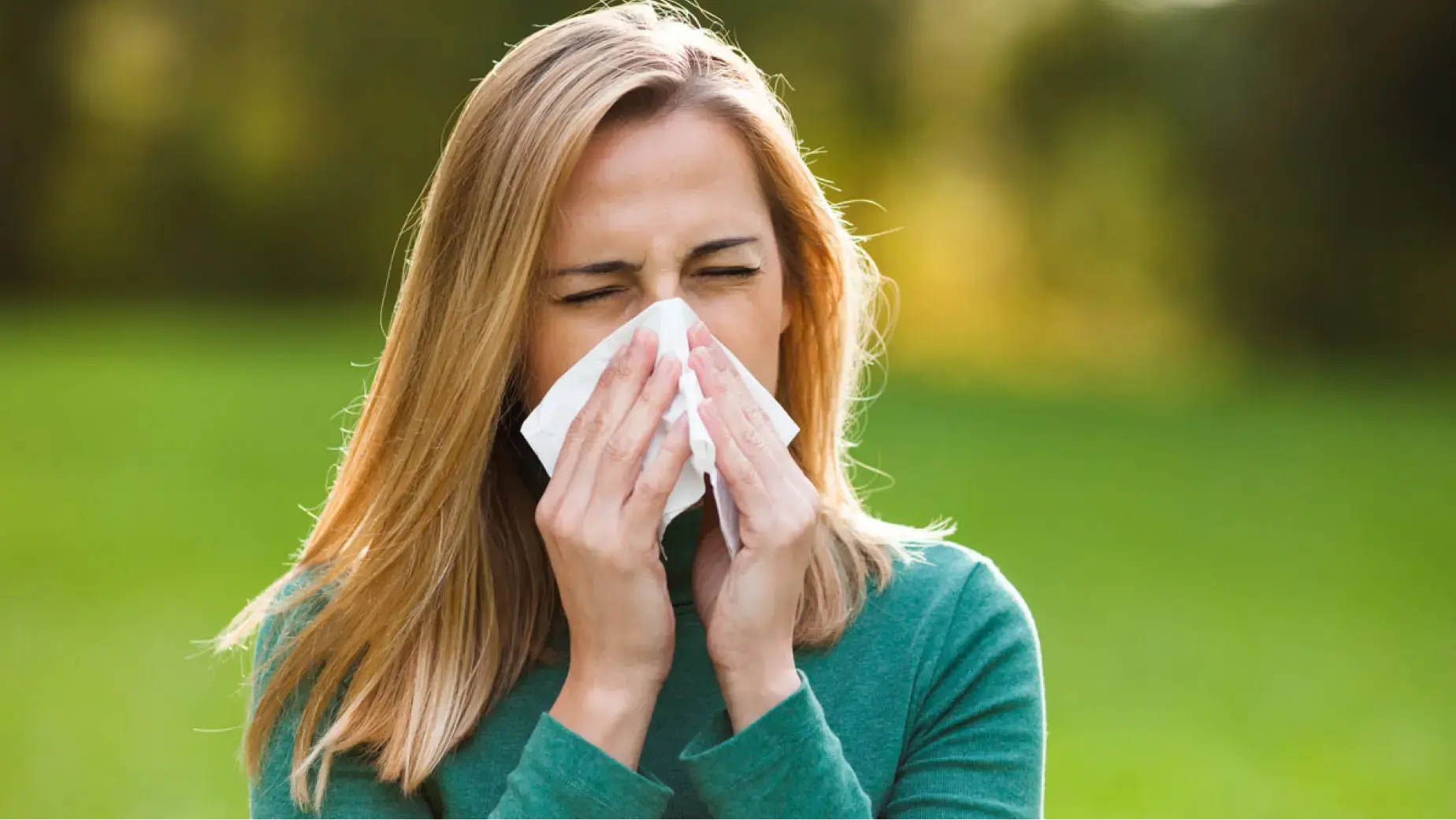 Home Remedies for Seasonal Allergy Sneezing